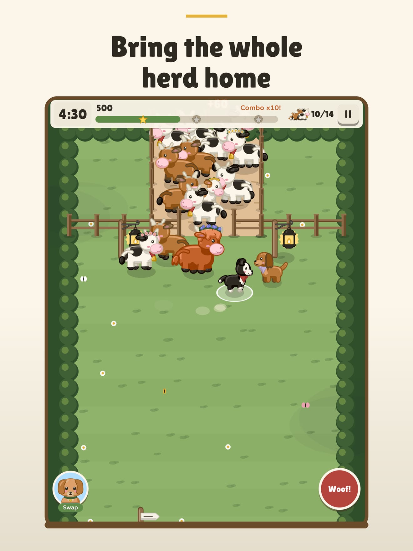 851 1789788953 0 iPad 01 herd